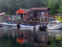 Quidi Vidi, Nowa Fundlandia